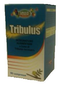 TRIBULUS AMI 90CPR VITAL