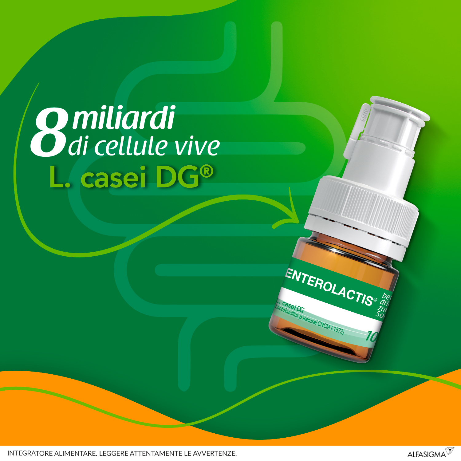 Enterolactis Bevibile, Integratore Alimentare con Fermenti lattici, probiotici L,Casei DG, 8 Miliardi Cellule Vive, Senza Glutine e Lattosio, 12 Flaconcini da 10ml