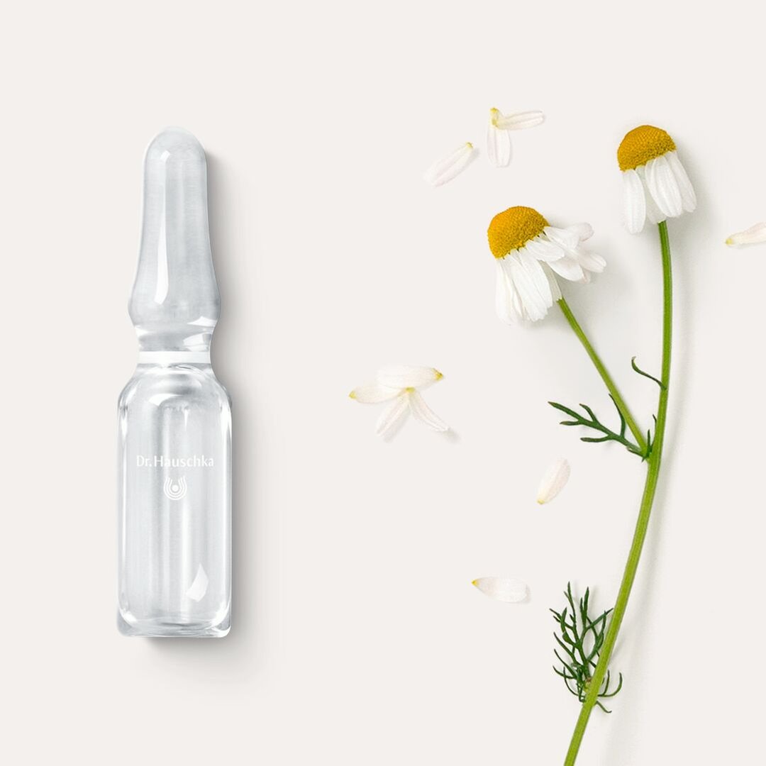 Dr. Hauschka - Cura Di Bellezza Viso Pelle Sensibile Giorno E Notte 10 Fiale