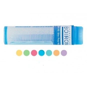 Boiron Sulfur 9CH Globuli Tubo