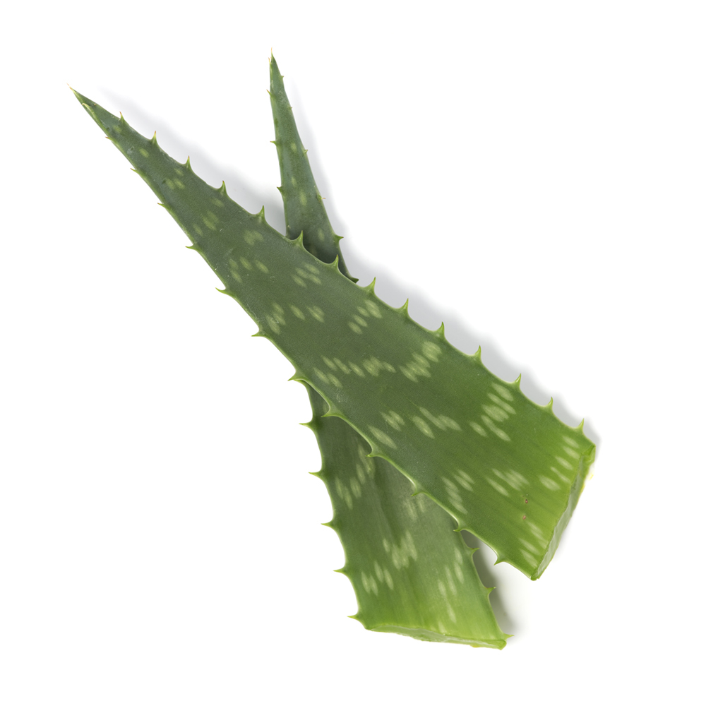 APIVITA EXP ALOE 2X8ML/19