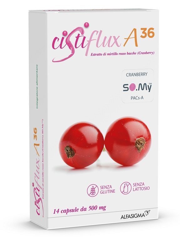 Cistiflux a Plus 36Ed, Integratore a Base di Estratto di Mirtillo Rosso, Cranberry Americano, e D-Mannosio, per Favorire Una Corretta Funzionalità delle Vie Urinarie, utile in caso di cistite, 14 Bustine, Gusto Frutti di Bosco