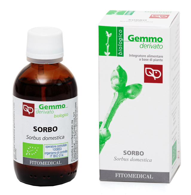 SORBO MG 50ML BIO