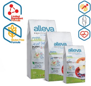 ALLEVA EQUILIBRIUM DOG SENSITIVE LAMB PUPPY MINI MEDIUM KG 2 - P6000