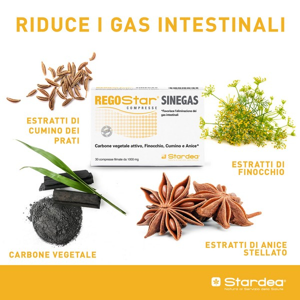 REGOSTAR Sinegas 30 Cpr 1000mg