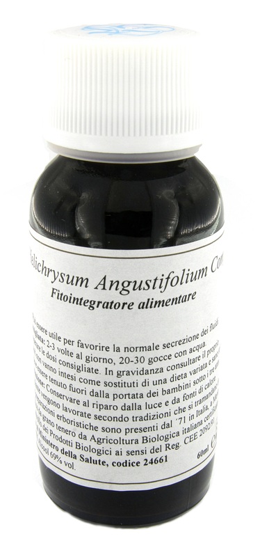 47C HELICHRYSUM ANGUST COM LVS