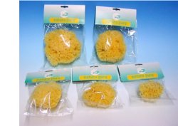 NATURA PURA SPUG NAT 10 BUST