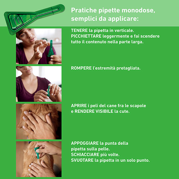 Frontline Combo Cani x3 Pipette, Antiparassitario per Cani XL e Cuccioli (+40Kg) Contro Pulci, Zecche, Uova e Larve