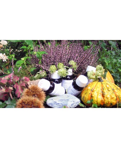 Lvs Arctostaphylos Uva Ursina Compositum Integratore 60 ml