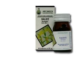 SALICE 60CPS 500MG