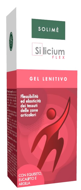 SILICIUM FLEX GEL 100ML