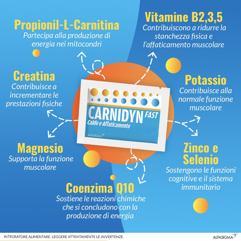 Carnidyn Fast Caldo e Affaticamento, integratore di Sali minerali, magnesio e potassio, zinco e selenio, con Carnitina, utile in caso di spossatezza da caldo o attività sportiva - 12 Bustine scad Aprile 2026 