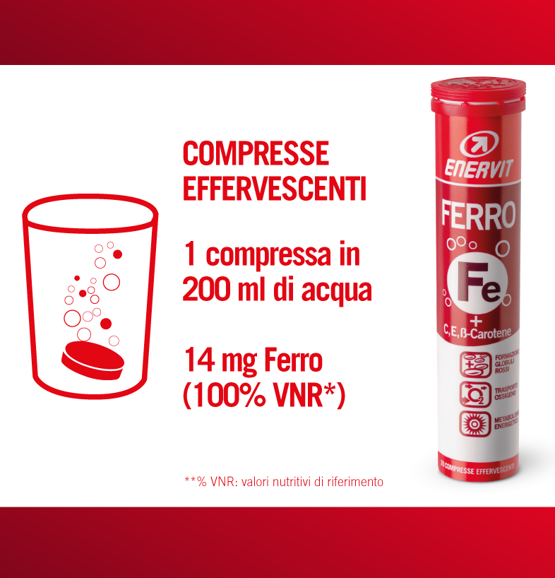 ENERVIT FERRO 20TAV