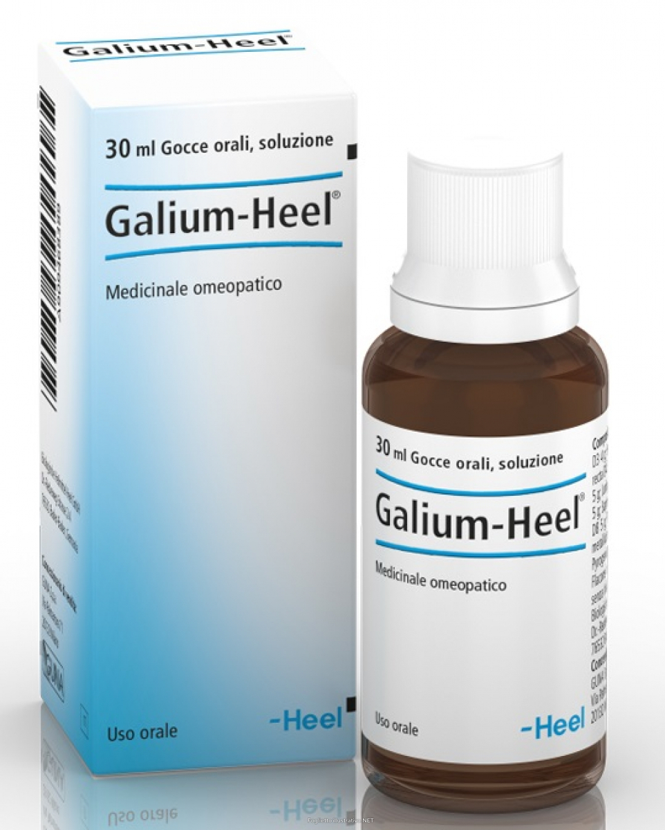 Galium-Heel Guna - Gocce - Medicinale Omeopatico - 30 ml