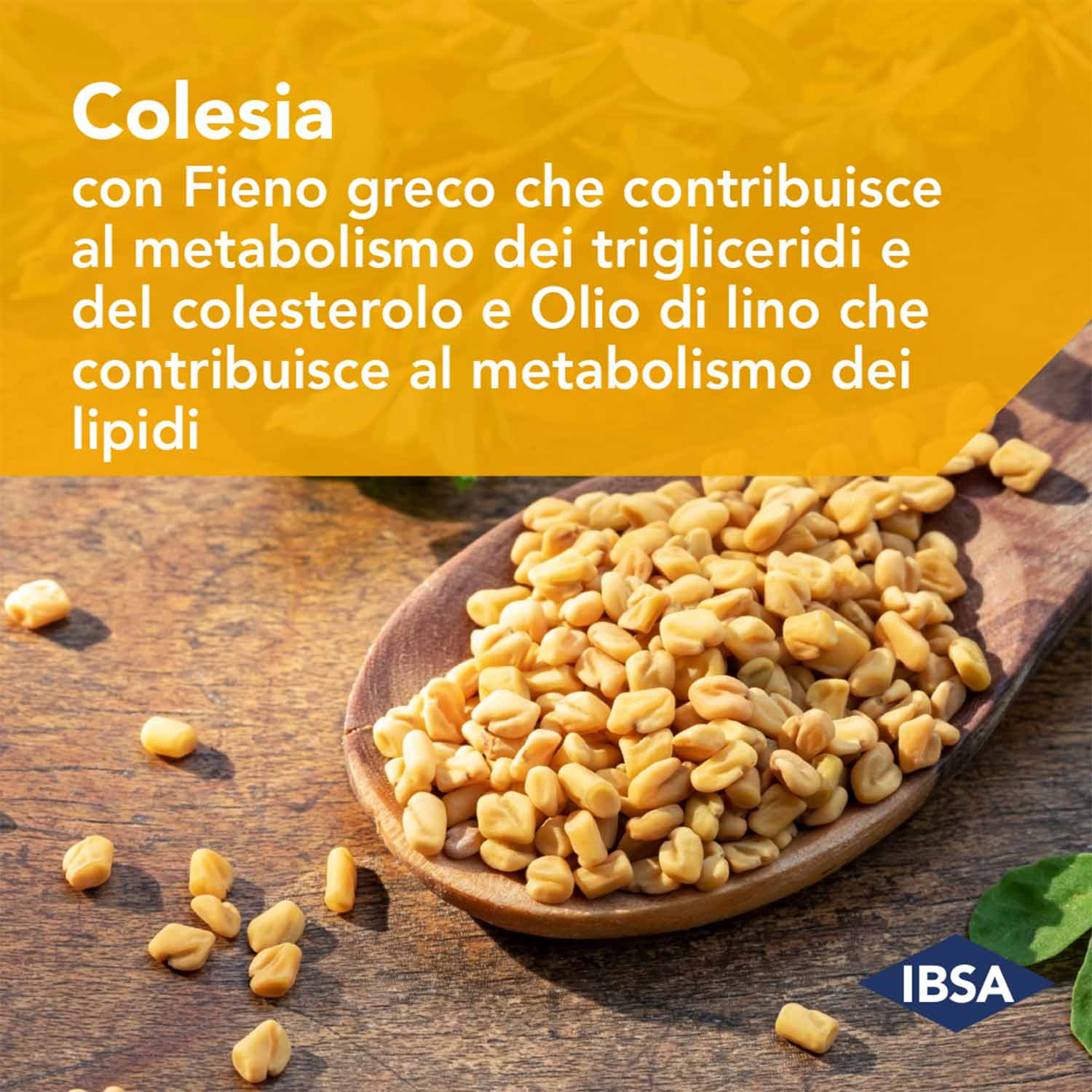Colesia - Integratore Per il Colesterolo - 30 Capsule Molli