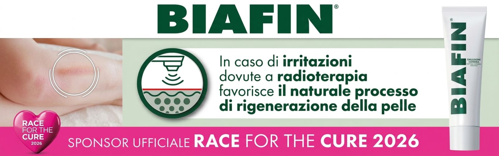 BIAFIN DESKTOP