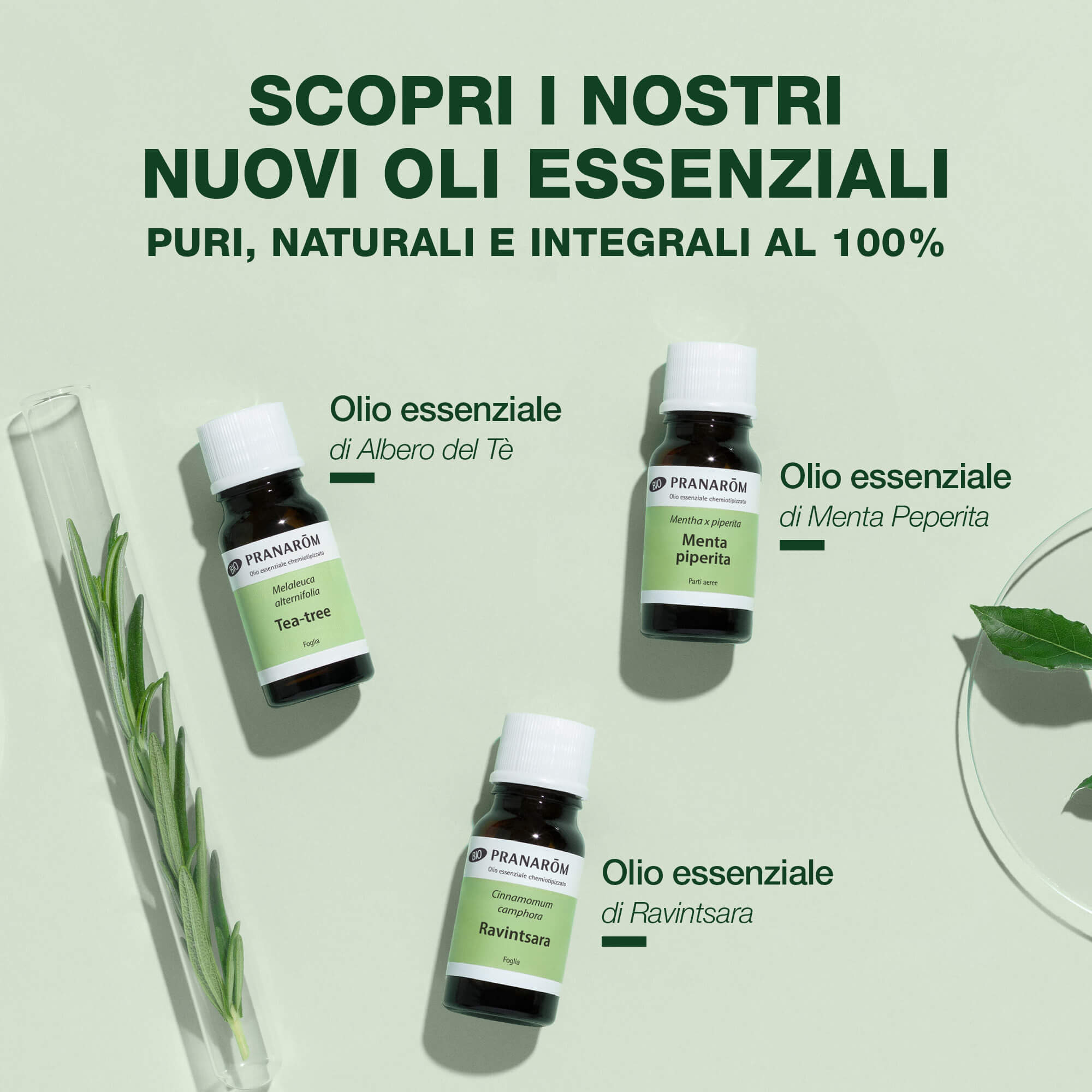 Pranarom - Olio Essenziale Di Tea Tree 10 ml