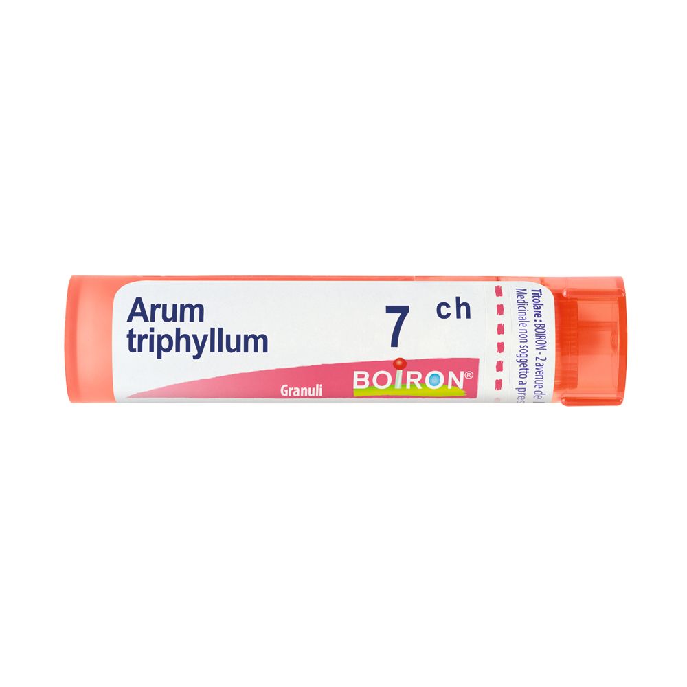 ARUM TRIPHYL BOI*7CH 80GR 4G