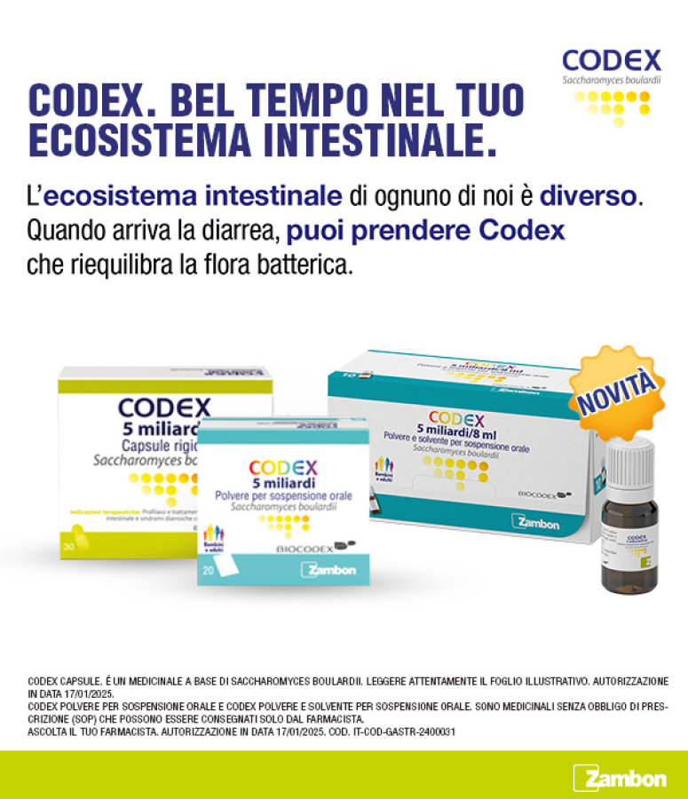 Hero Desktop Codex