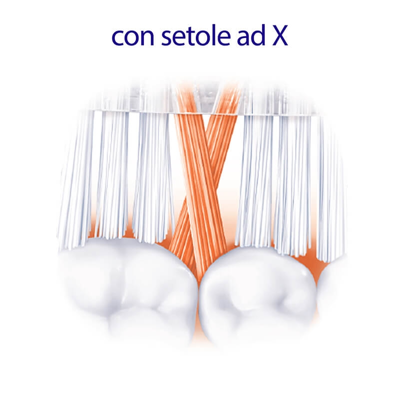 Elmex Interx Protezione Carie Spazzolino Medio Testina Corta