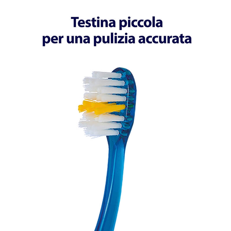 Elmex Junior 6-12 anni Spazzolino Manuale Bambini Colori Assortiti