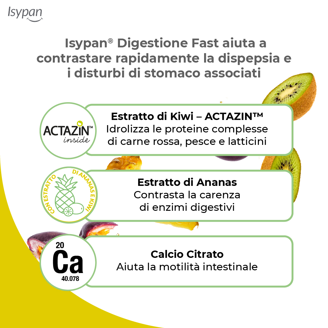 ISYPAN Digest.Fast 20 Stick