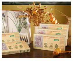 PLANT MAYOR COMP 12F STV