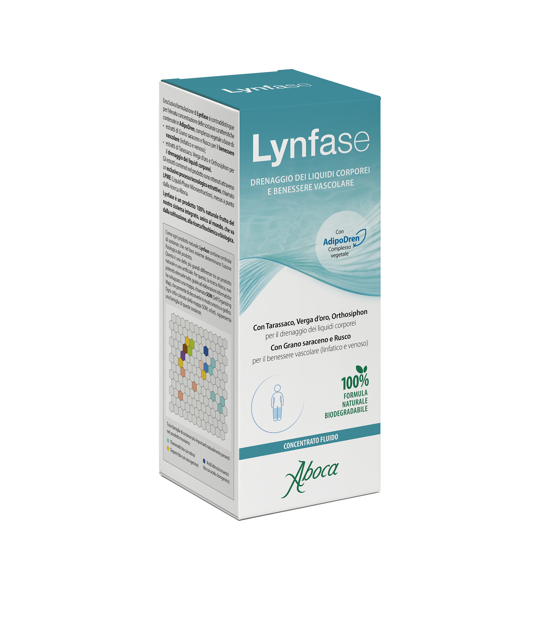LYNFASE CONCENTRATO FLUIDO180G