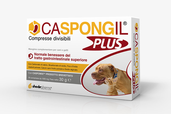CASPONGIL Plus 30 Cpr