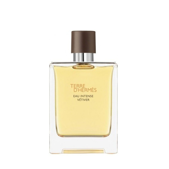 HERMES TERRE VETIVER EDP 100 V