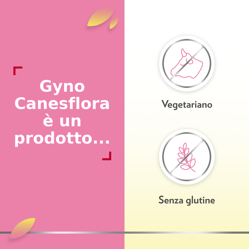 Gyno Canesflora Integratore alimentare per il benessere intimo femminile e il mantenimento della flora vaginale, con Vitamina B2 e lactobacilli, 30 capsule