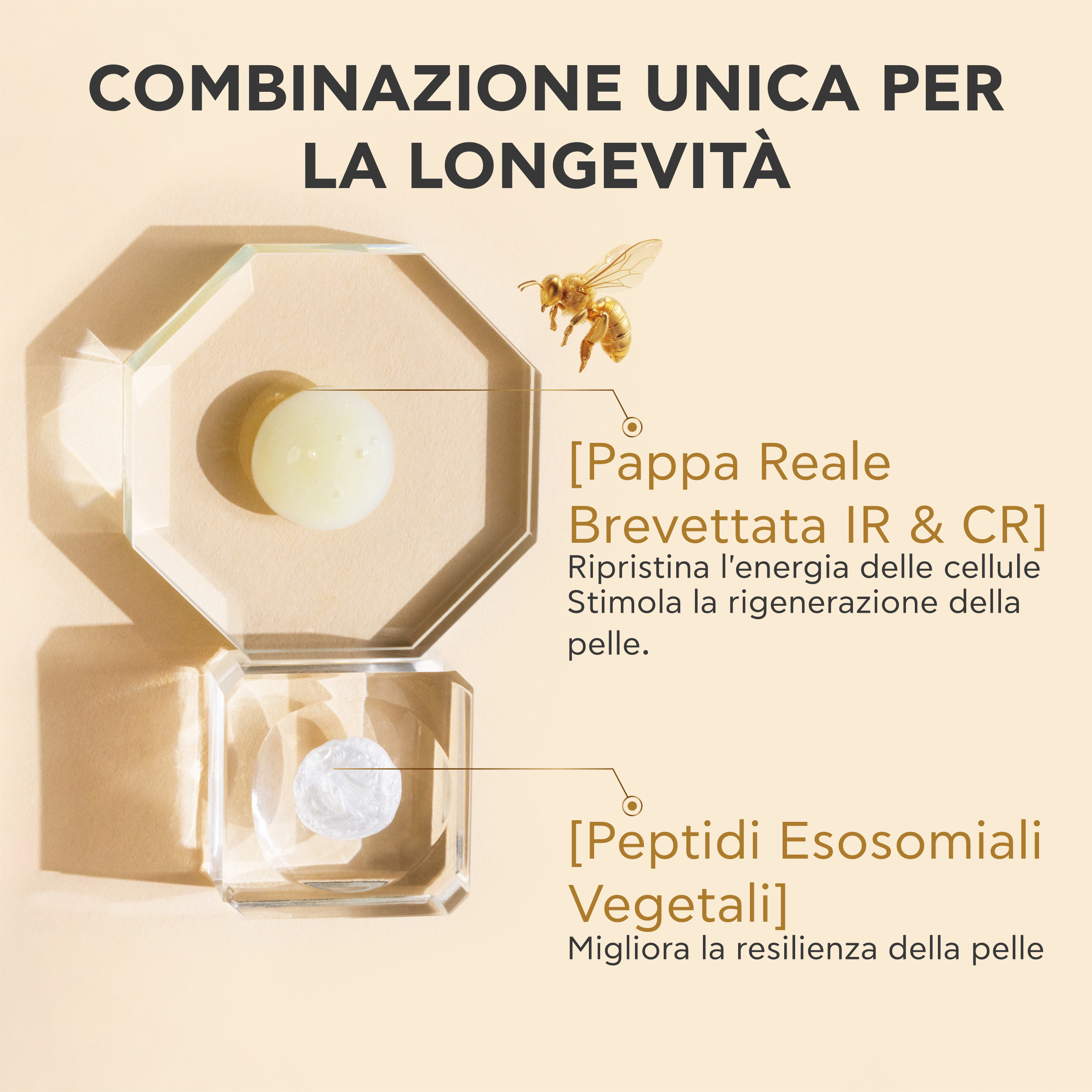 Apivita Queen Bee Longevity - Siero Viso Antiage 12 Indicatori Di Giovinezza 30 ml