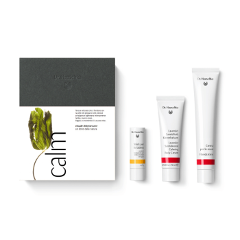 Dr. Hauschka Calm Rituale Di Benessere - Cofanetto Regalo Natalizio