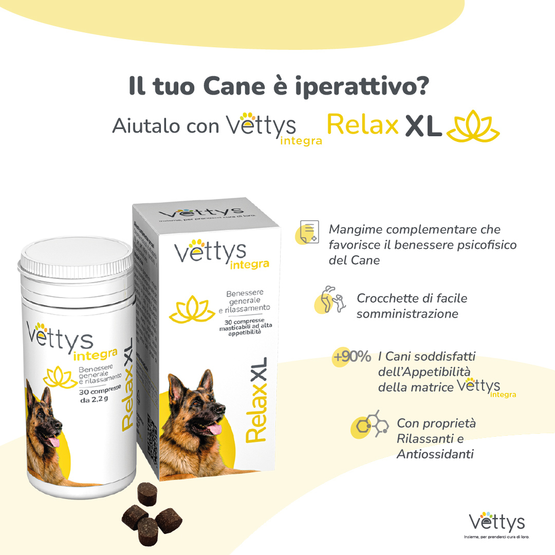 VETTYS Integra Relax XL Cane