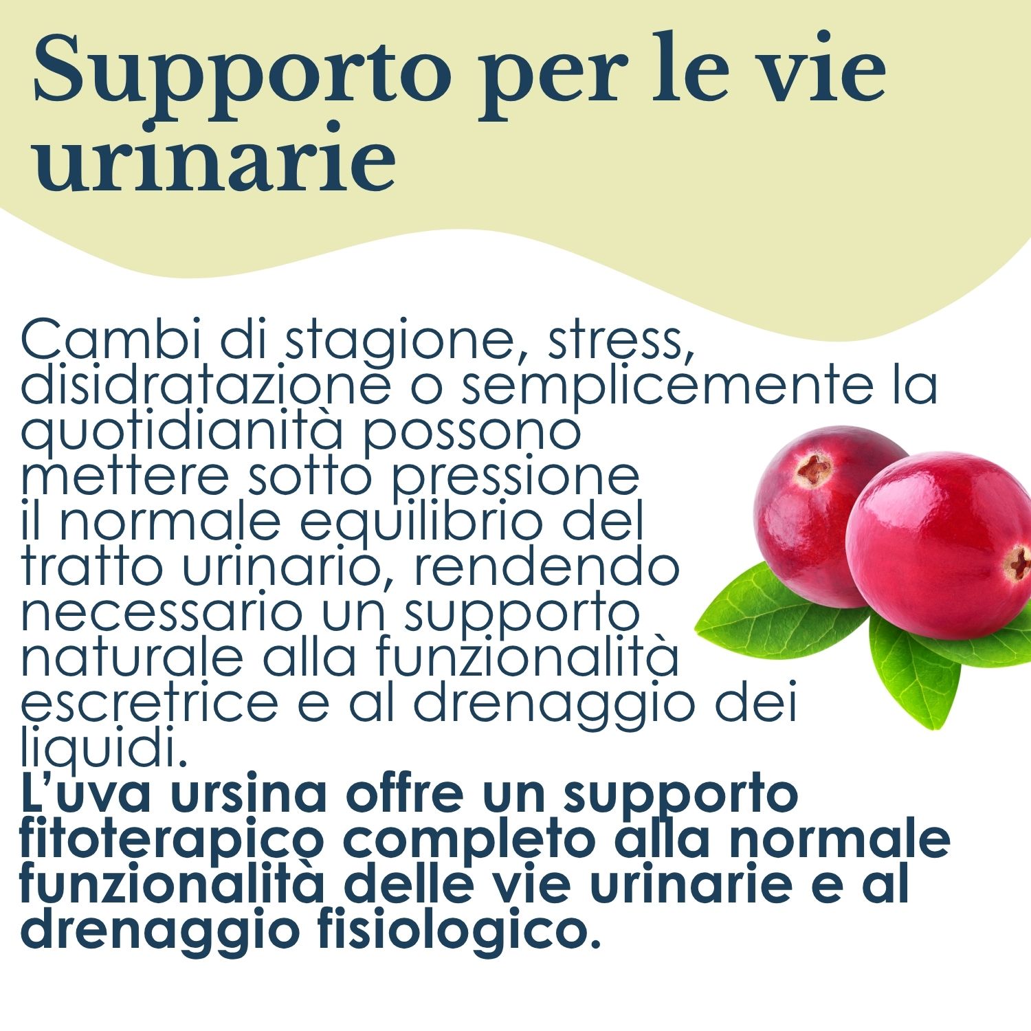 UVA URSINA 100CPS 430MG