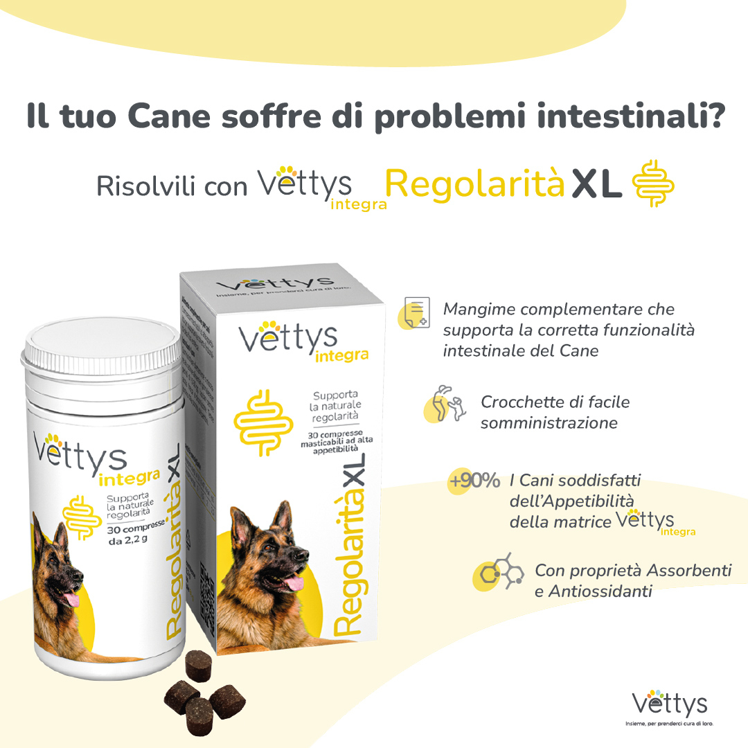 VETTYS Integra Regolar.XL Cane