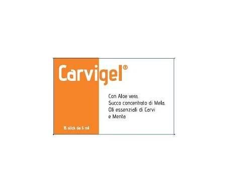 Carvigel 15 Oral Stick Integratore 5 ml